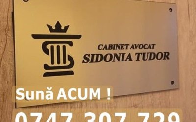 Răpirea Internațională a Copiilor